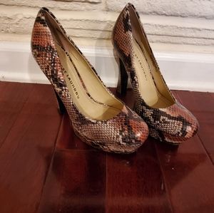 Chinese Laundry Move Over, Snake Platforms